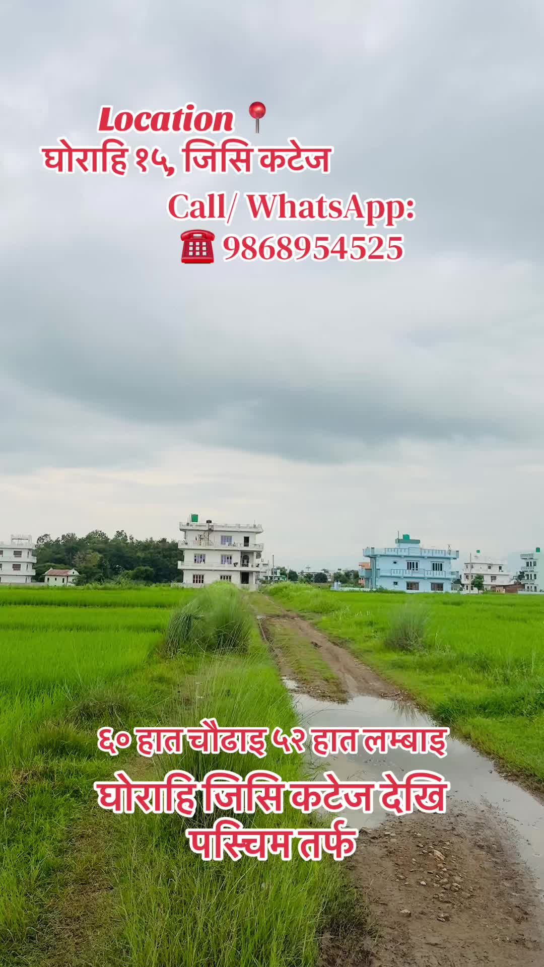 @Sanshet Ghar Jagga घोराहि 🏡