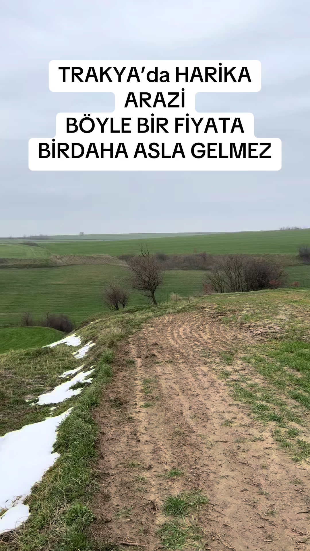 @&Uuml;&ccedil;er Emlak