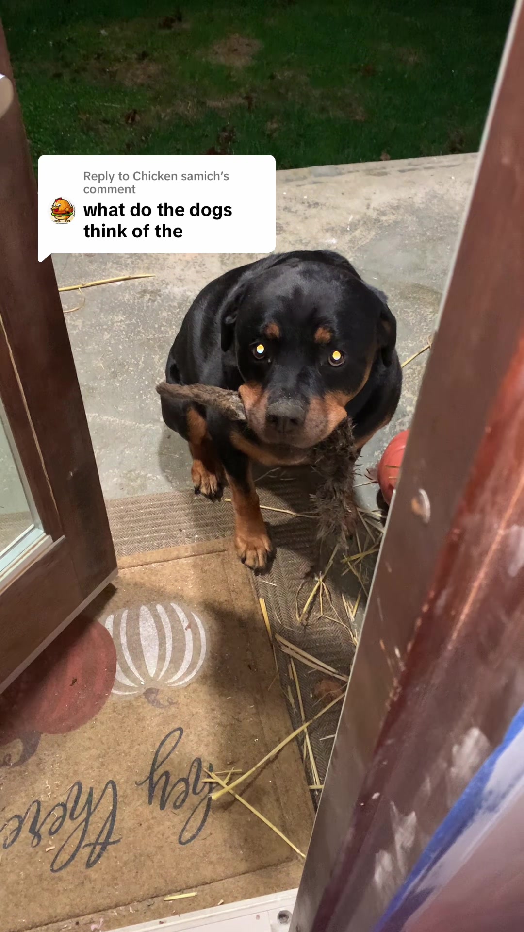 @thatbuilderguy15