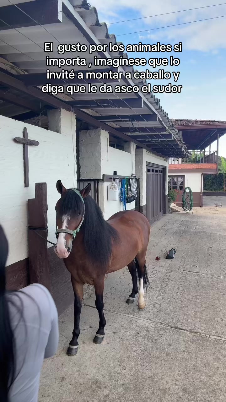 @Eli López 🦜 team periquito 🫀