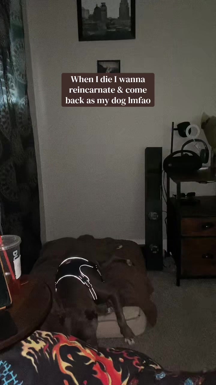 @biiigmel
