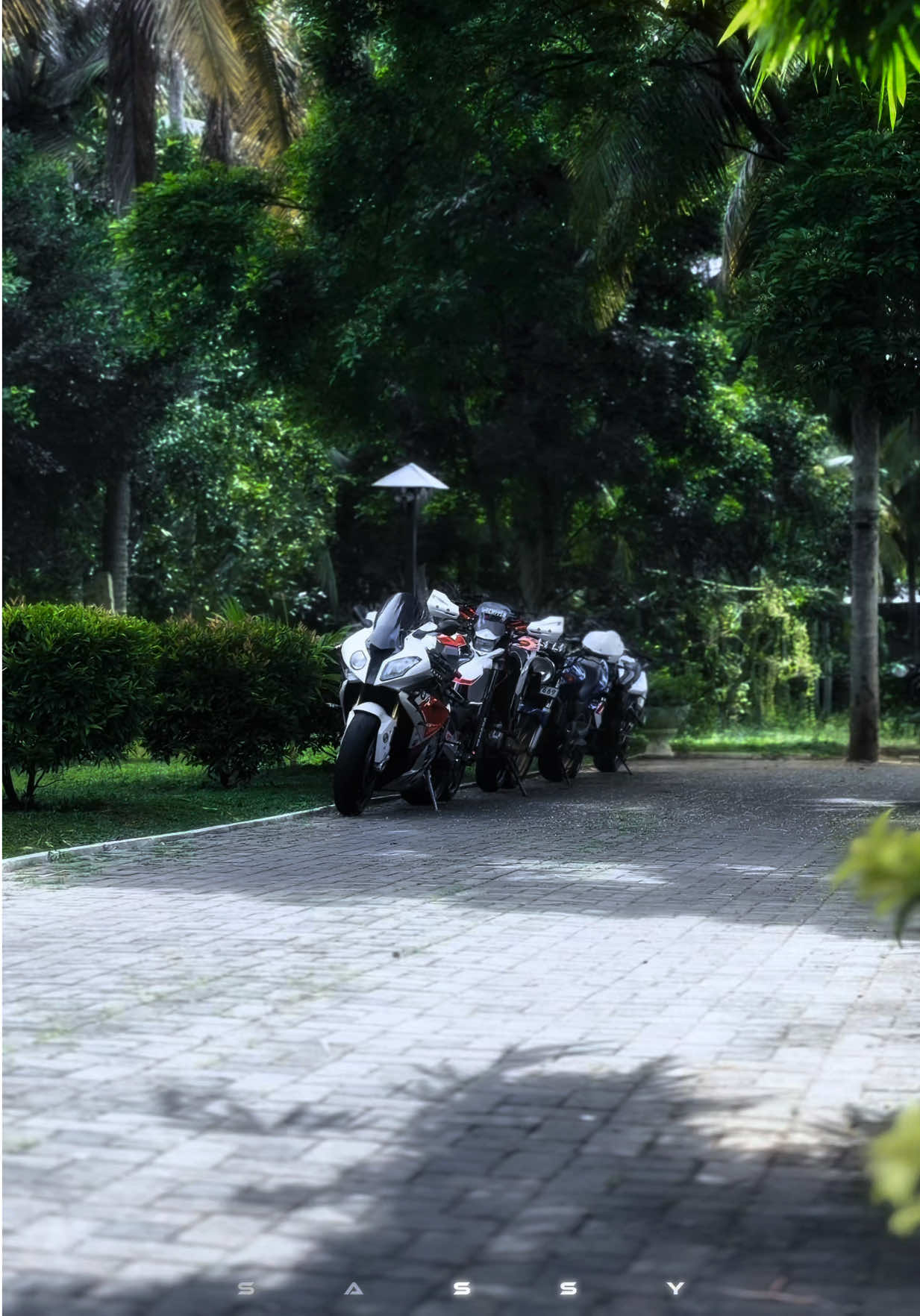 @𝑺 𝒂 𝒔 𝒔 𝒚 🐉”