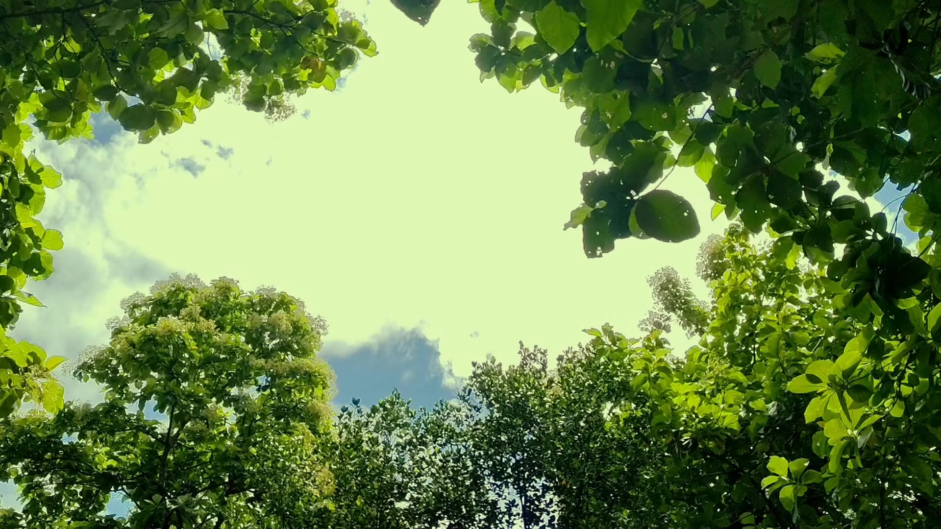 @𝕸𝖗.𝕸𝖆𝖓𝖏𝖎𝖙 𝖄𝖆𝖉𝖆𝖛✅️