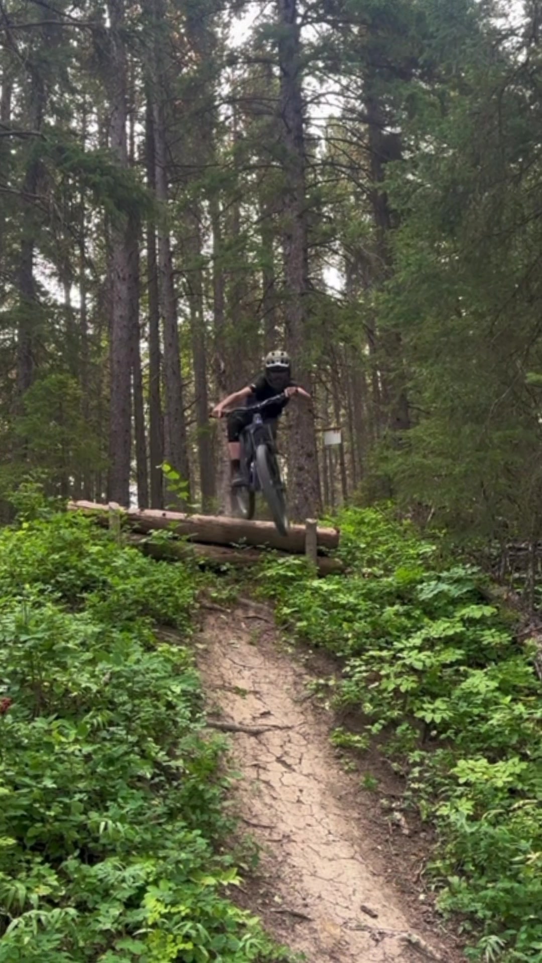 @Ali🇨🇦🇬🇧on_HD6