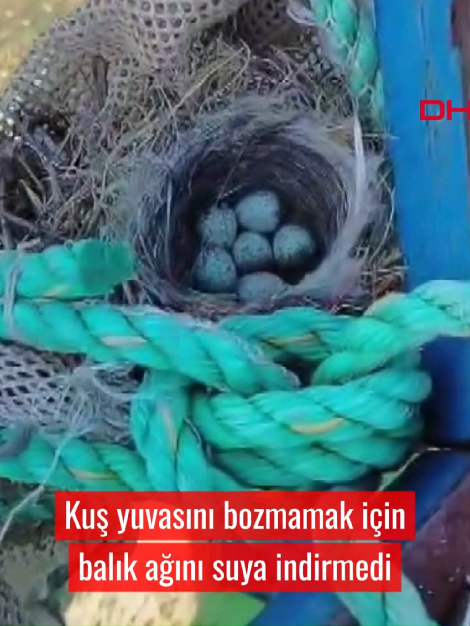 @Demir&ouml;ren Haber Ajansı