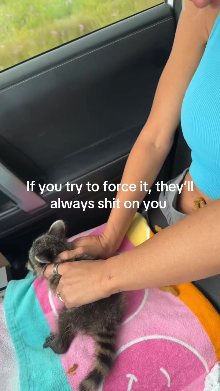@whitneyshazlewood