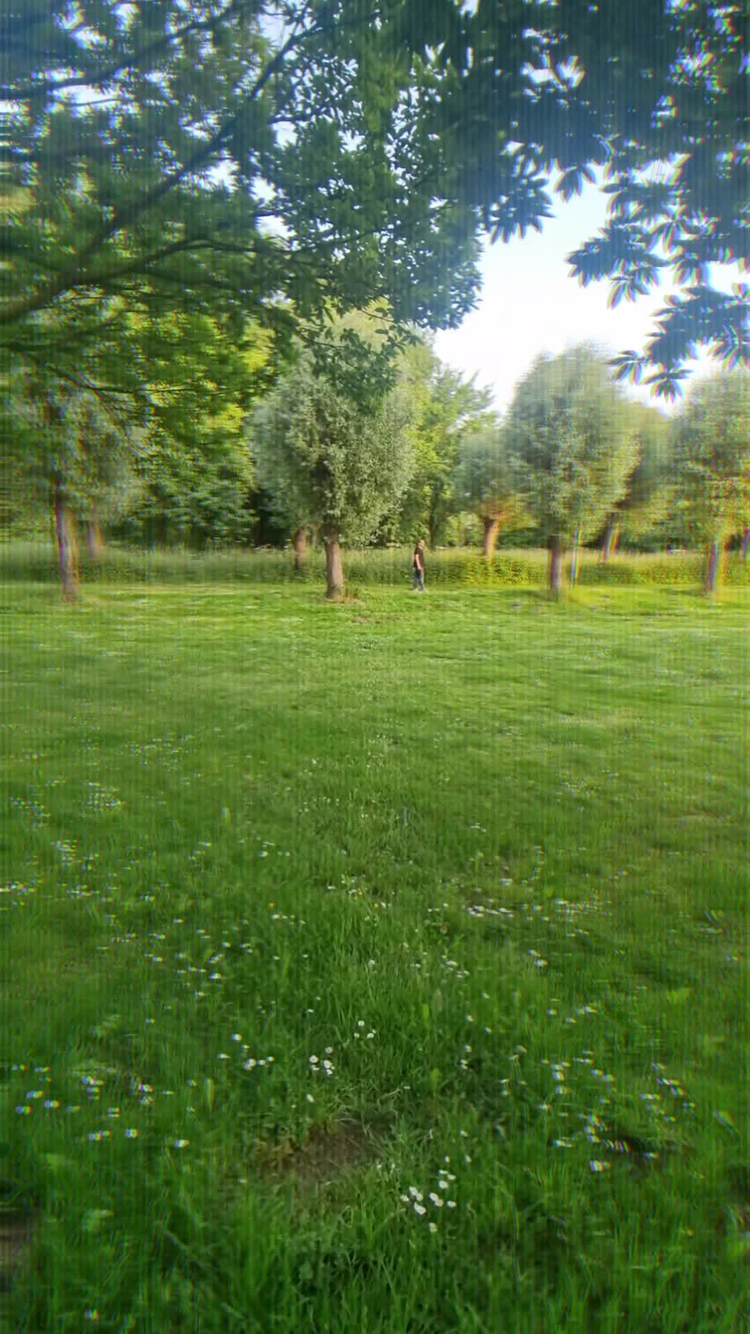 @المهندس