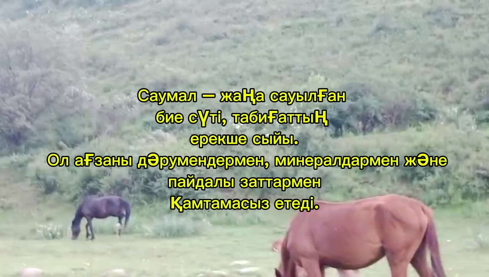 @Kaskasu_saumalmen.emdeu