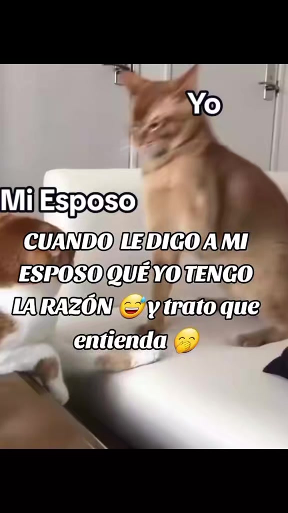 @Viviana🥰Grace