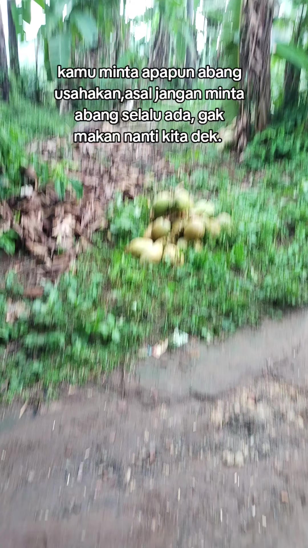@@BANGKIT_MANDIRI01