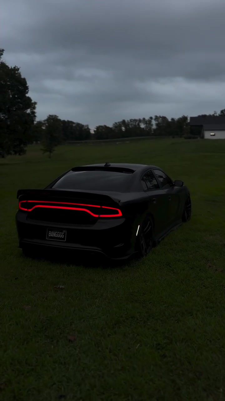 @Dodge Expert