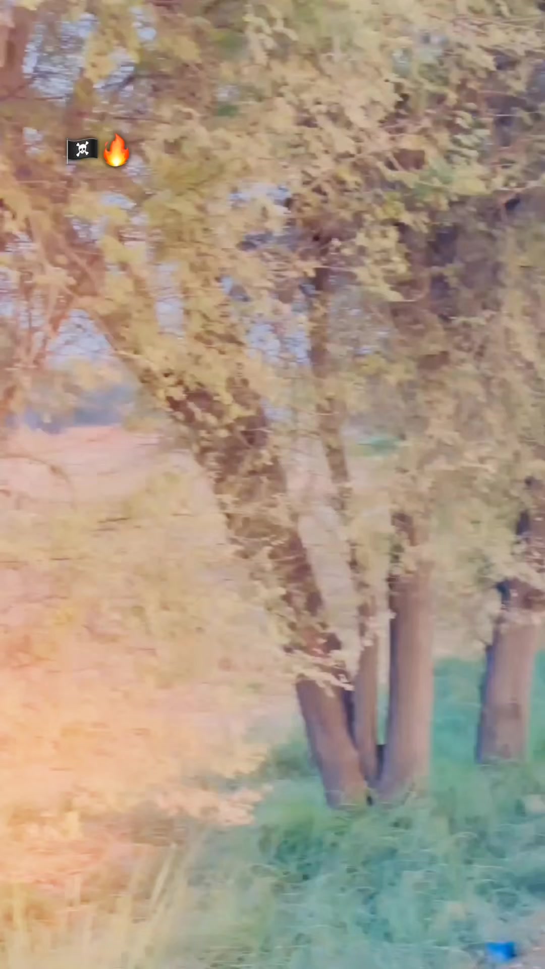 @️ رانا عُکاشہ نمبردار ✨