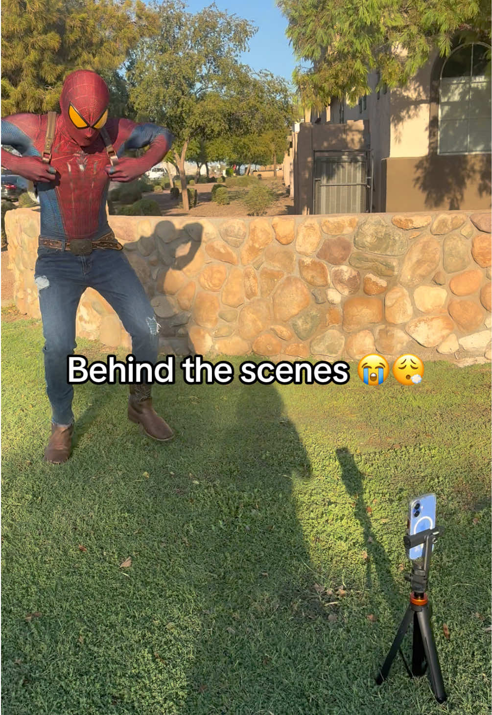 @SPIDA 🕸️