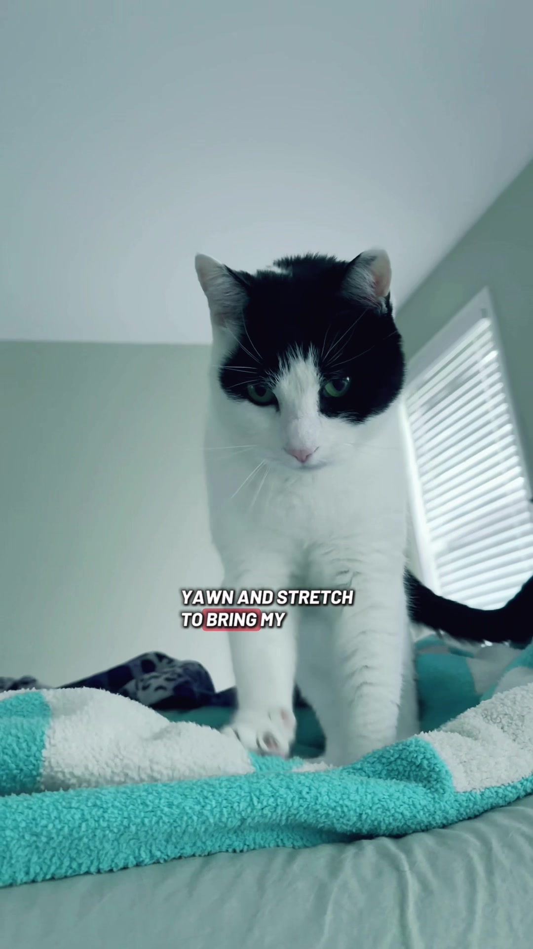 @Tabitha and Wesley
