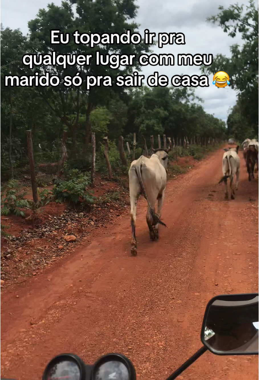@Sarasilva