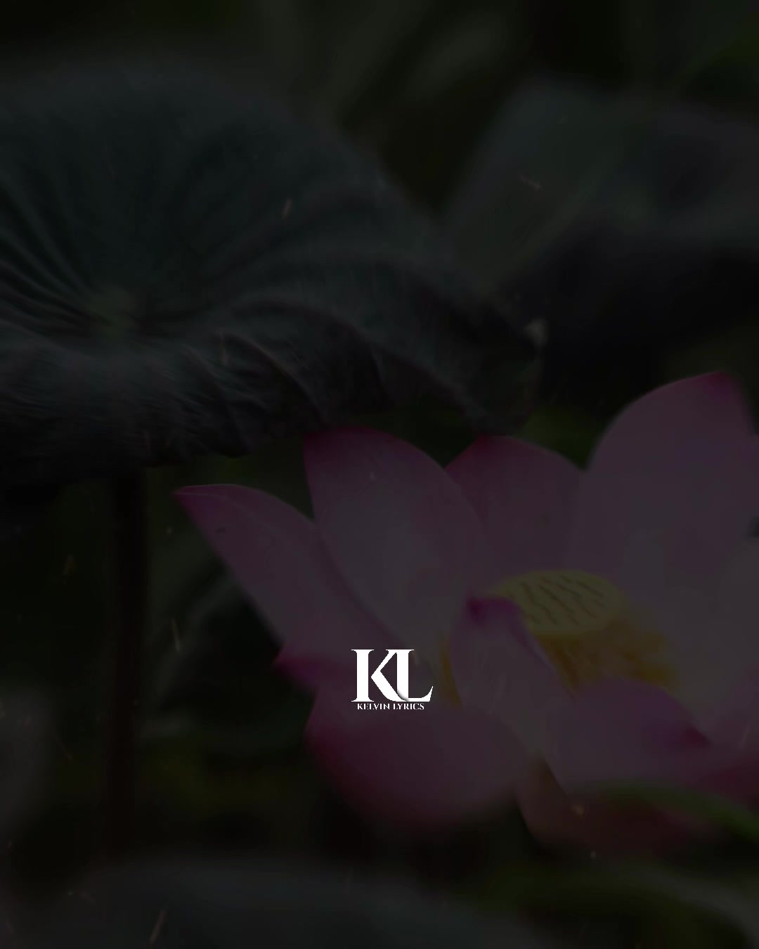 @๐๐๐๐ ๐๐
๐๐๐๐๐๐