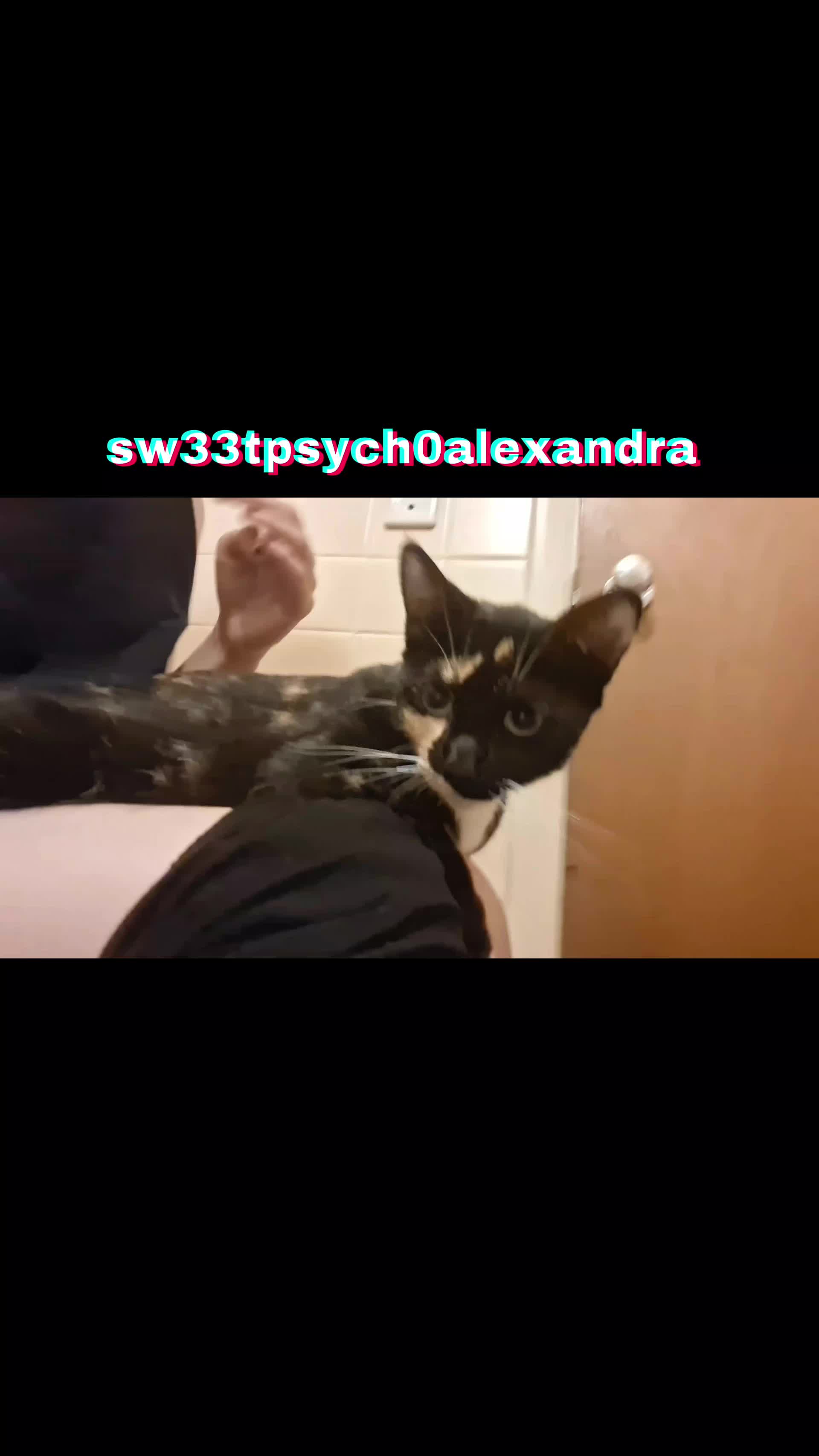 @sw33tpsych0alexandra