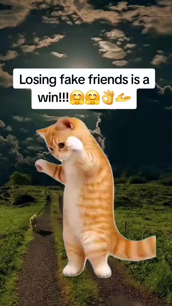 @๐โ๐๐๐ ๐โ๐ฃ๐๐๐๐๐ค๐ค๐
