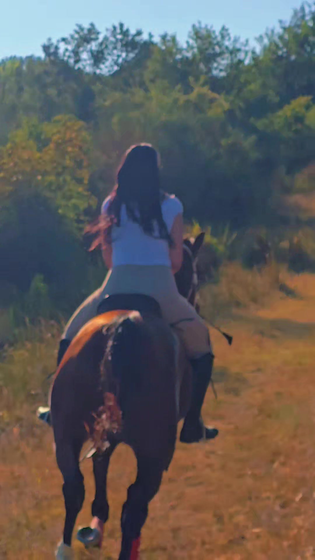 @Horse Training Center Albania