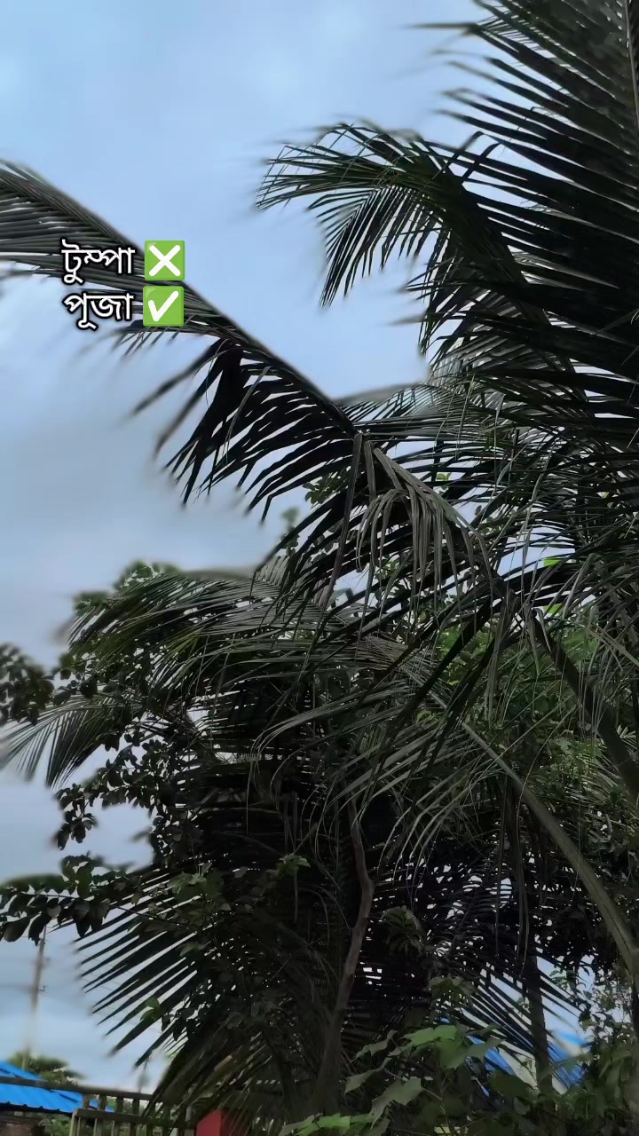 @đŧđĨđŧđŖđđŖđŠđ17 đĨđŧ