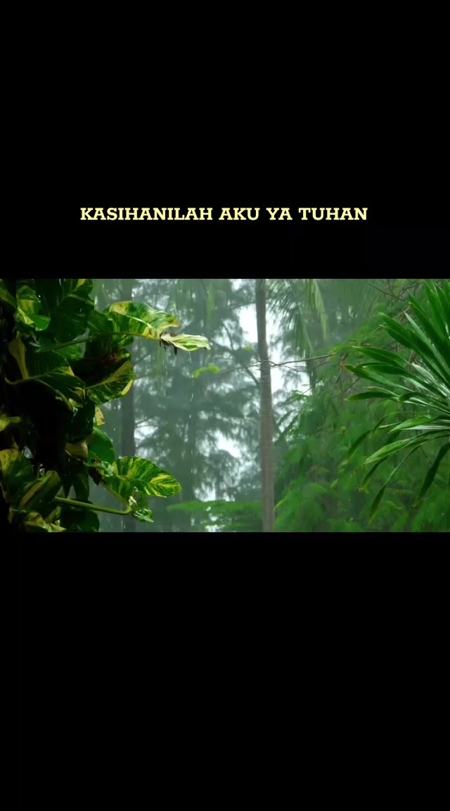 @Bulir Padi