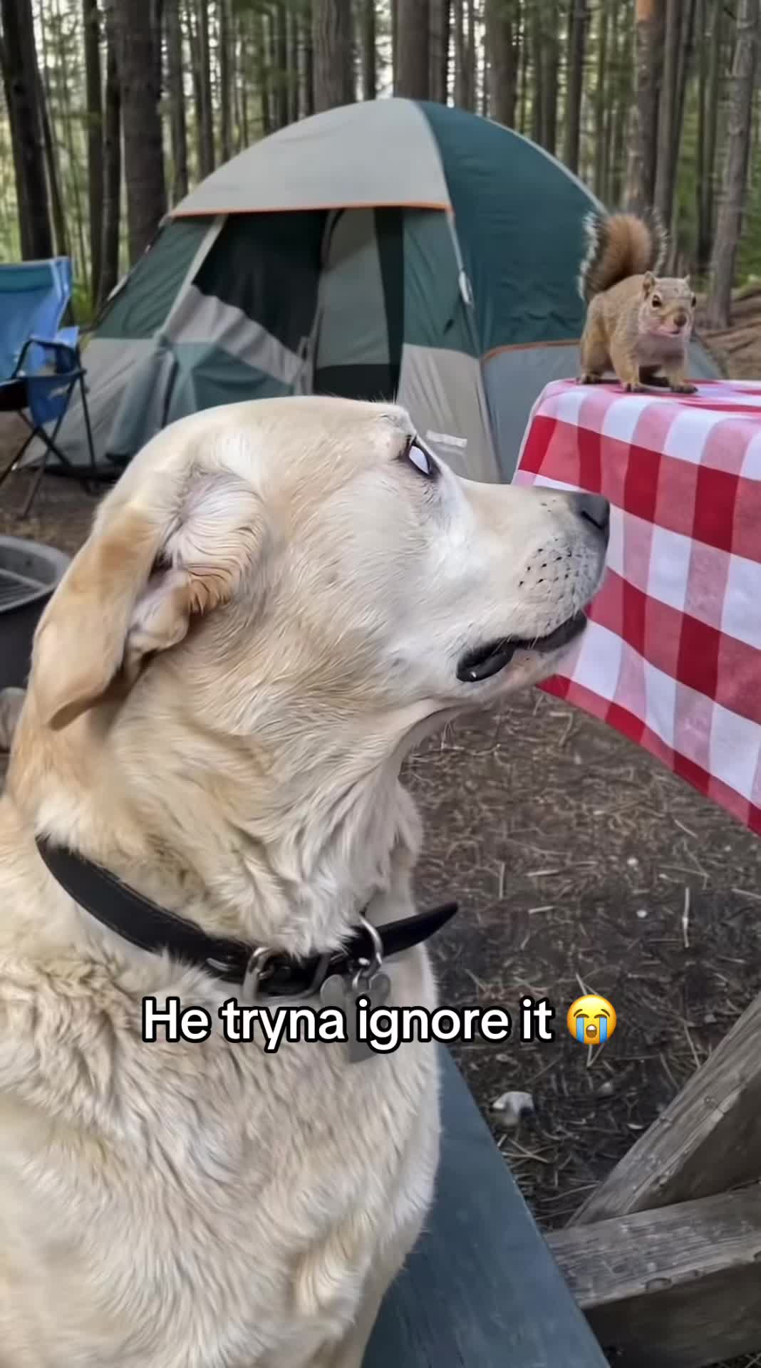 @Tim