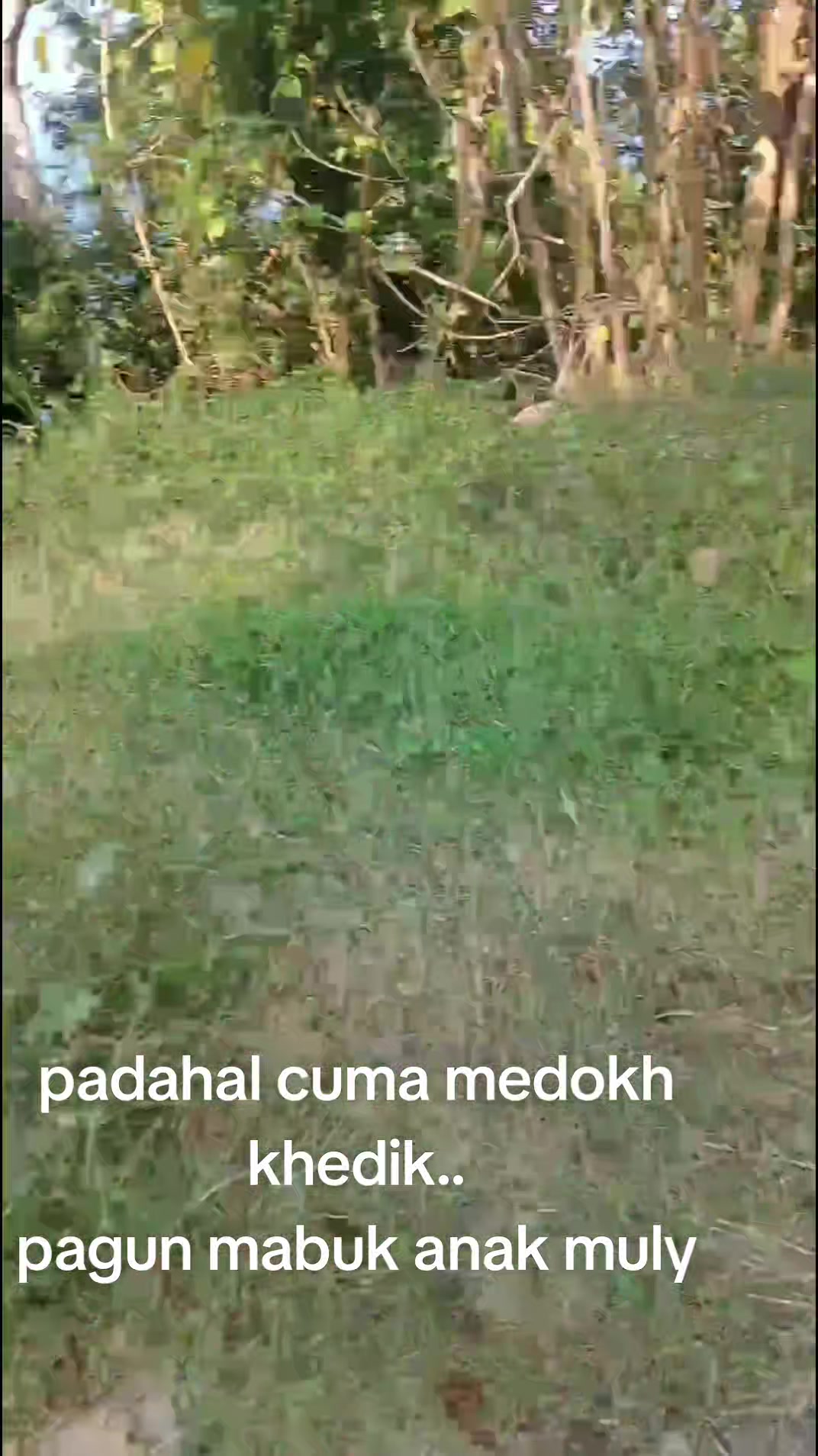 @YANTO TREVEL