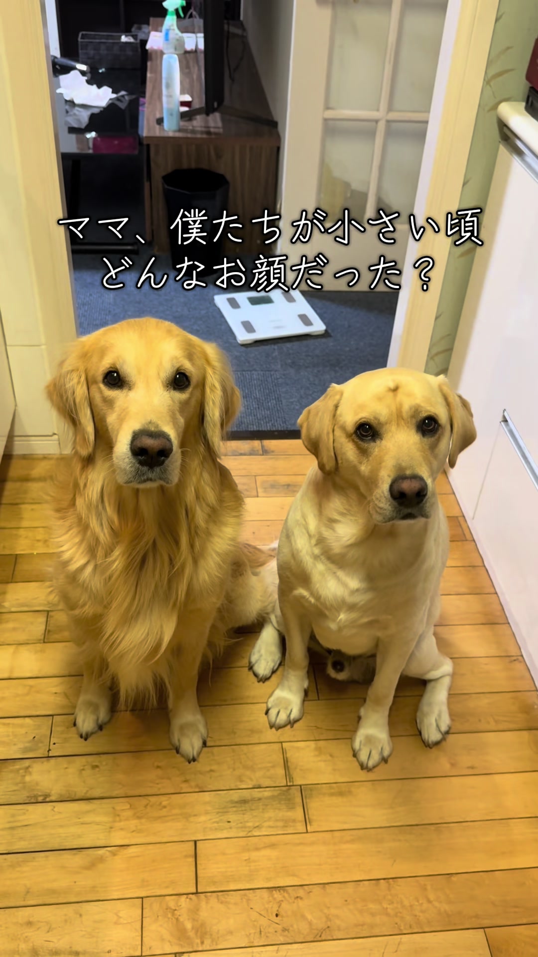 @ゆなたん