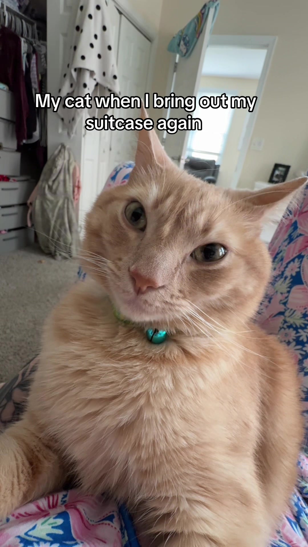 @Kat