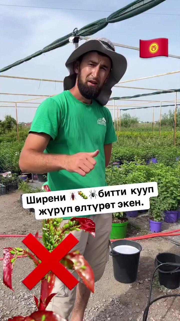 @СУПЕР САДОВНИК ИЗ ЖАЛАЛ-АБАДА