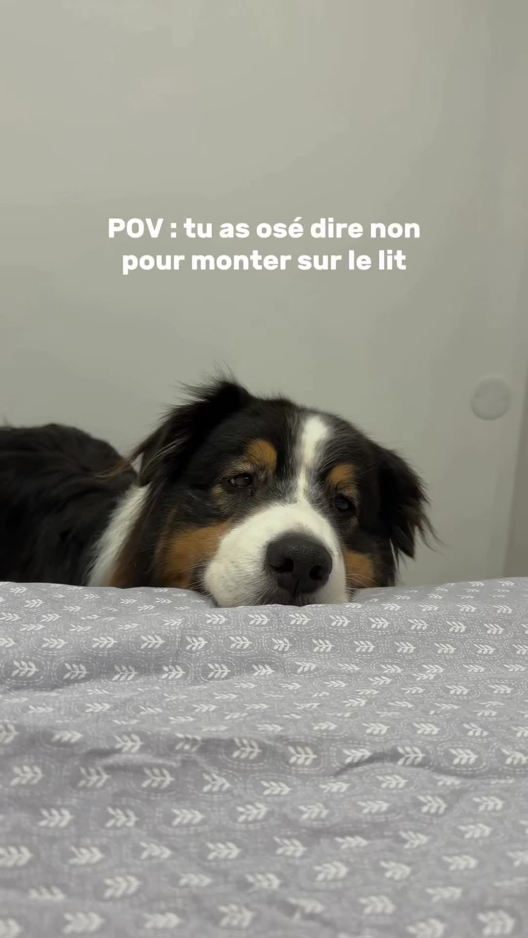 @La Patt&rsquo;Enchant&eacute;e