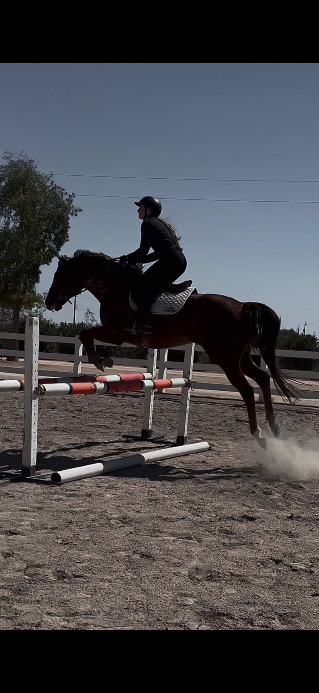 @VictoriaLynnEquestrian