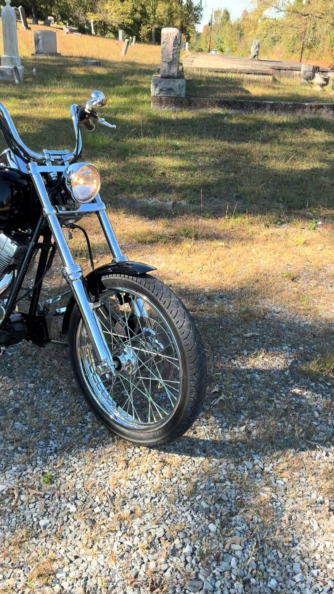 @Harley King