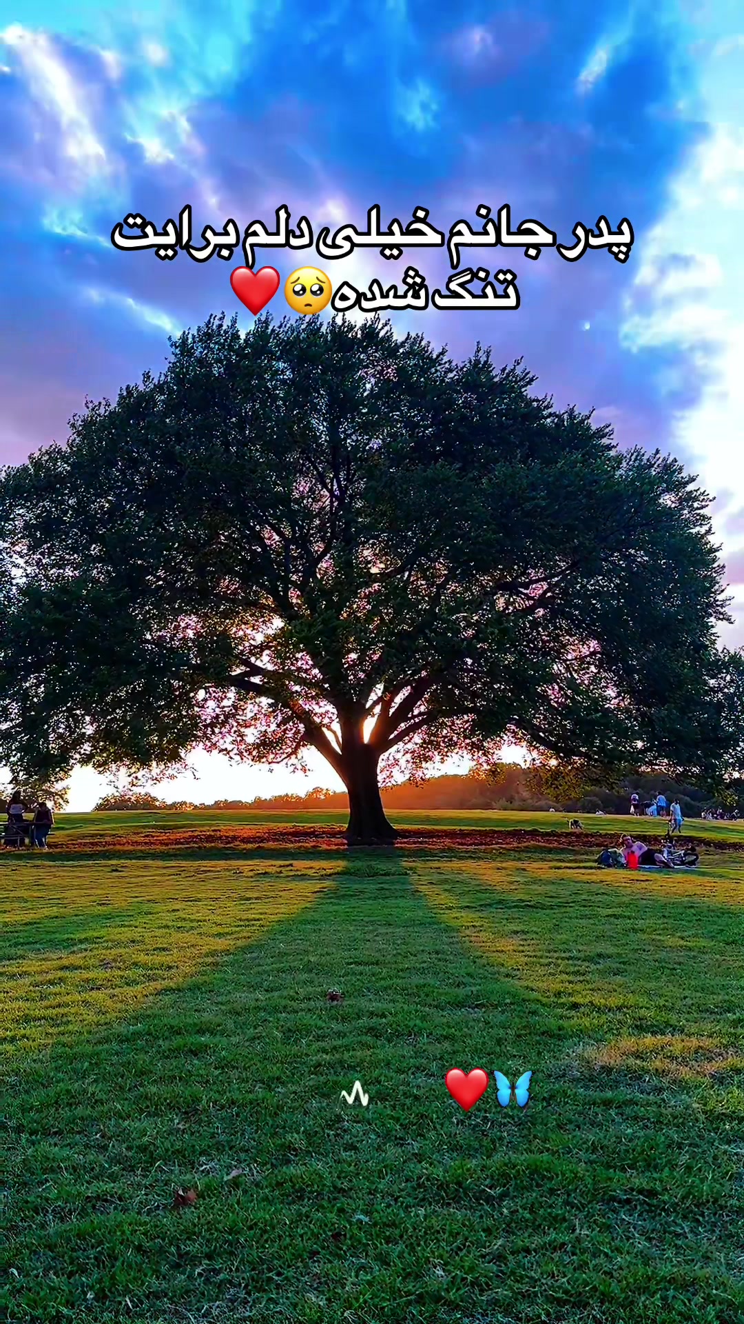 @𝓢𝓪𝓶𝓲𝓻𝓪❀