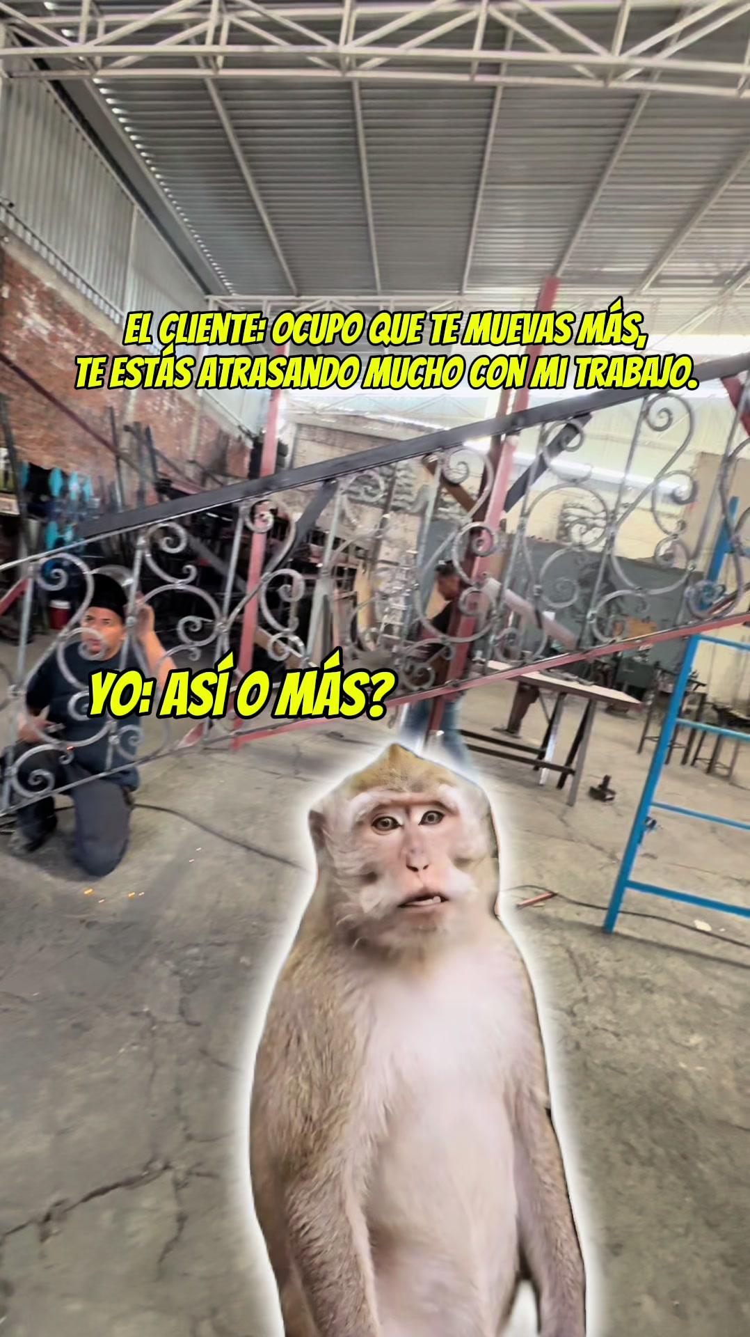 @herreriarica26