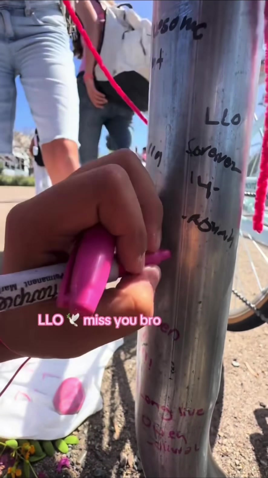 @LLO 🕊️