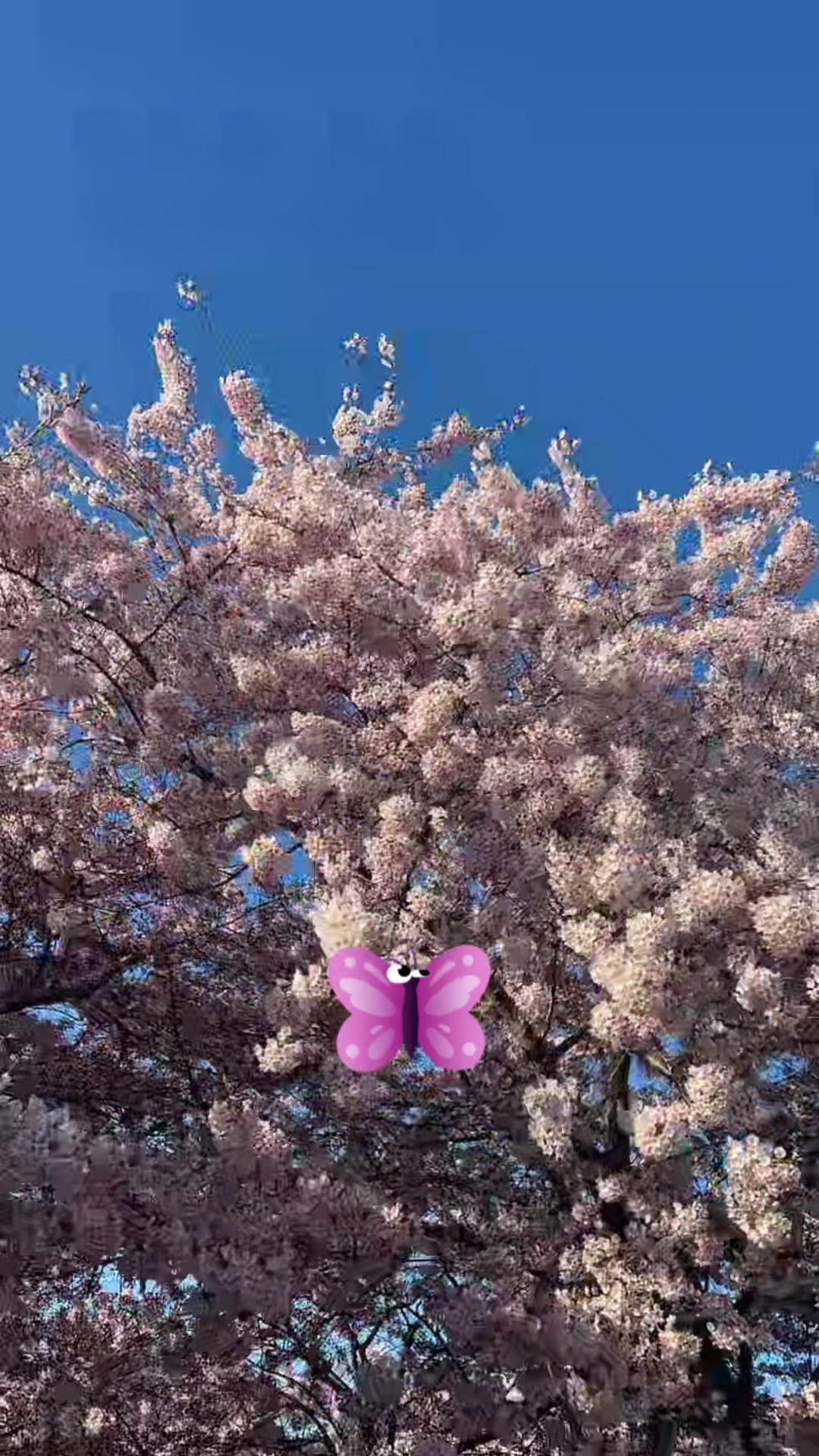 @PayalMantu