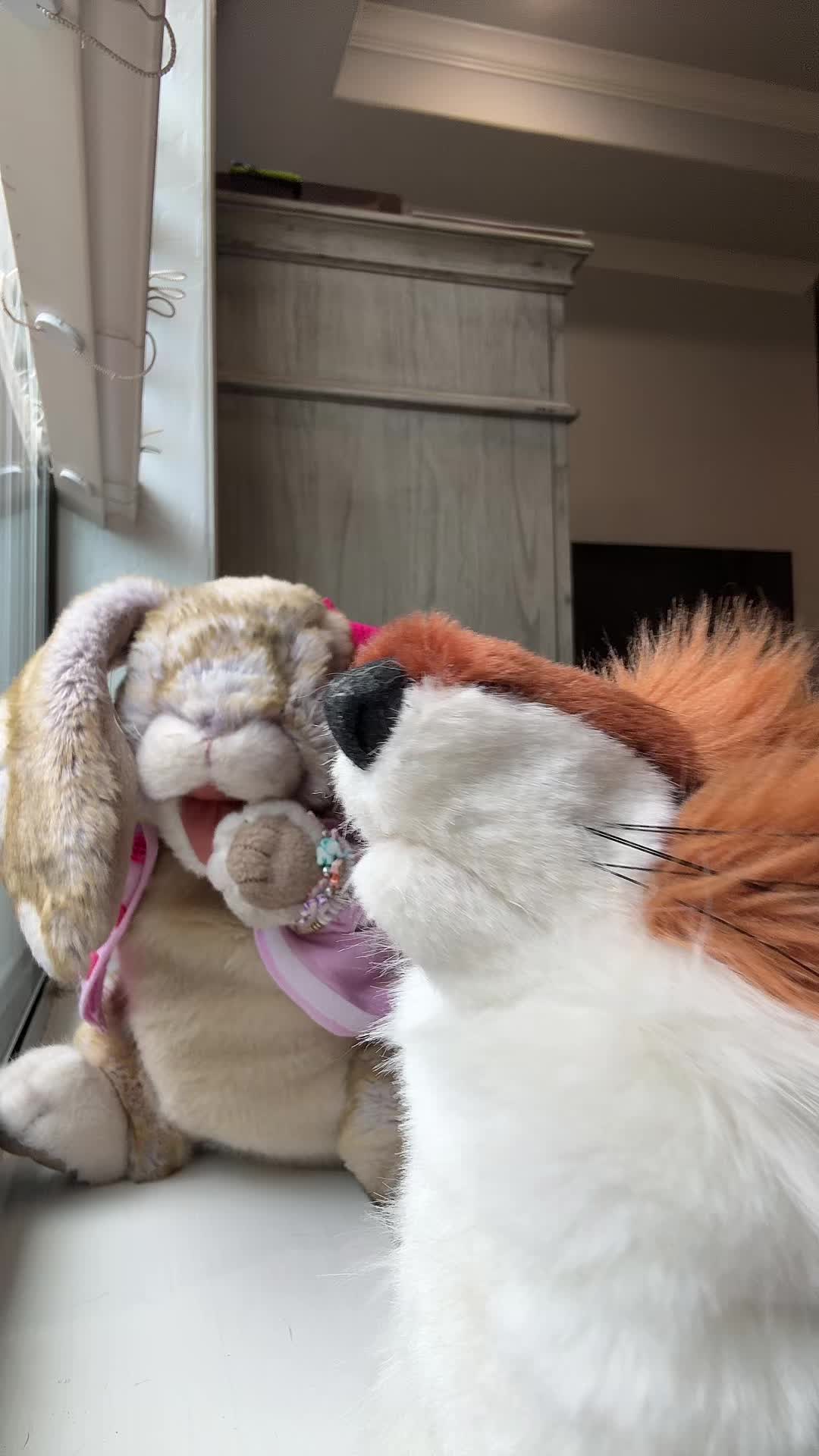 @rabbitdaisymae