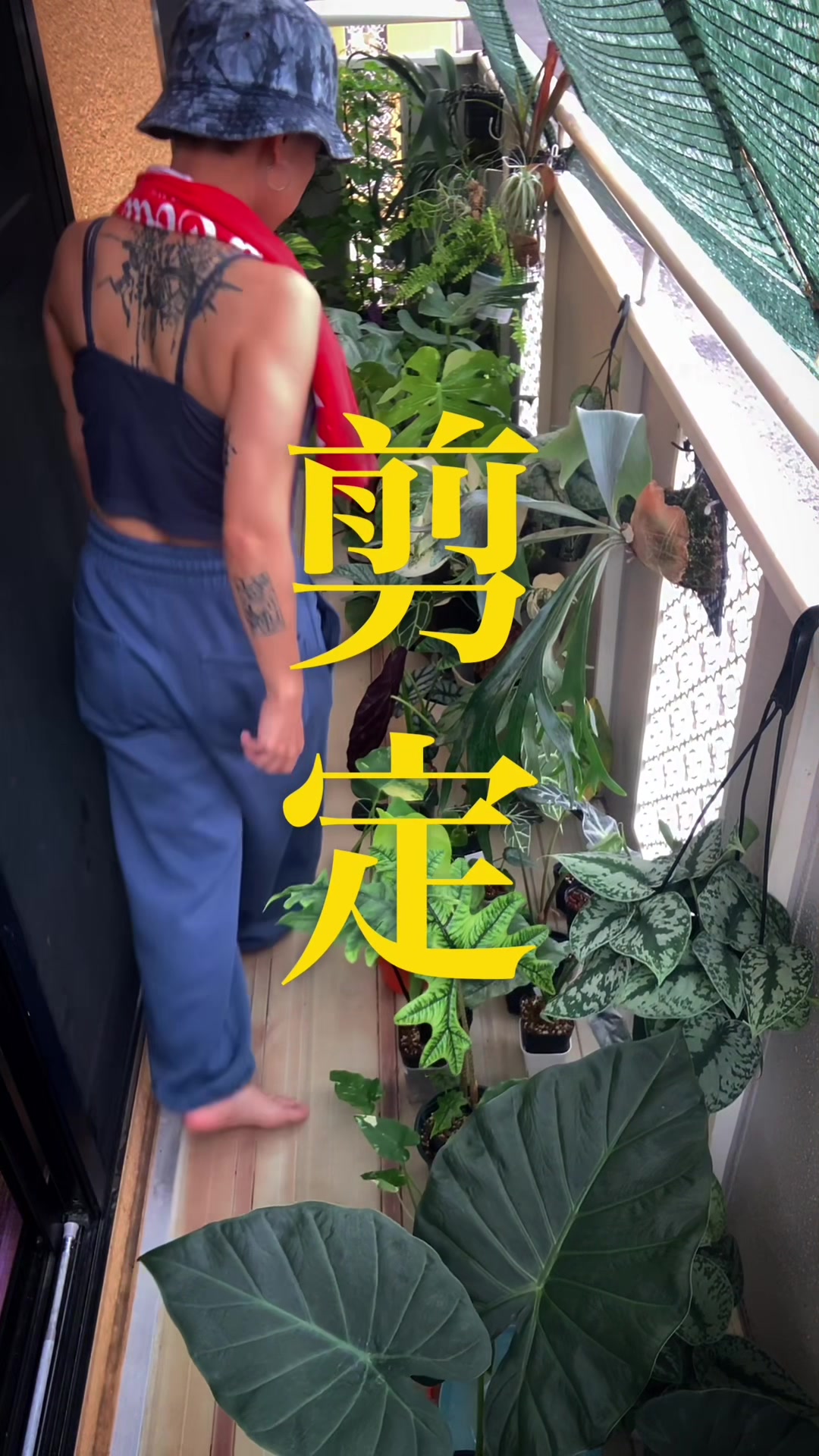 @plantsparadiseplanet