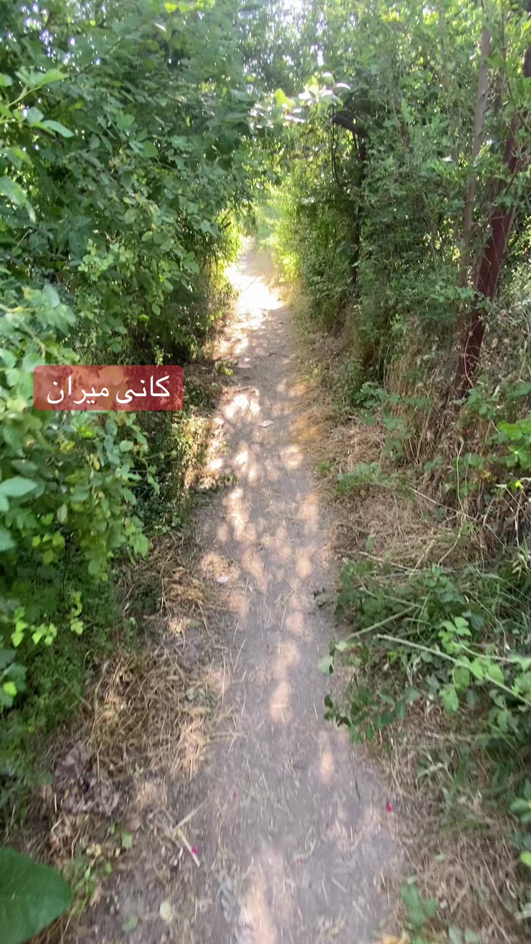 @salman_.011