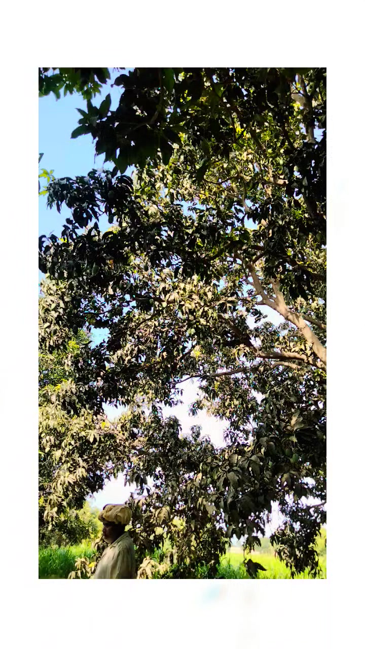 @عمران گجر