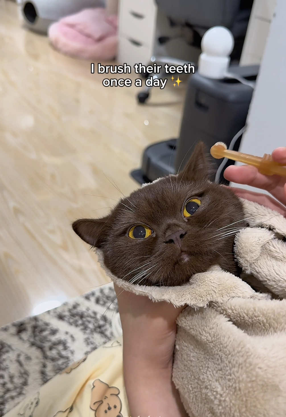 @TOFU