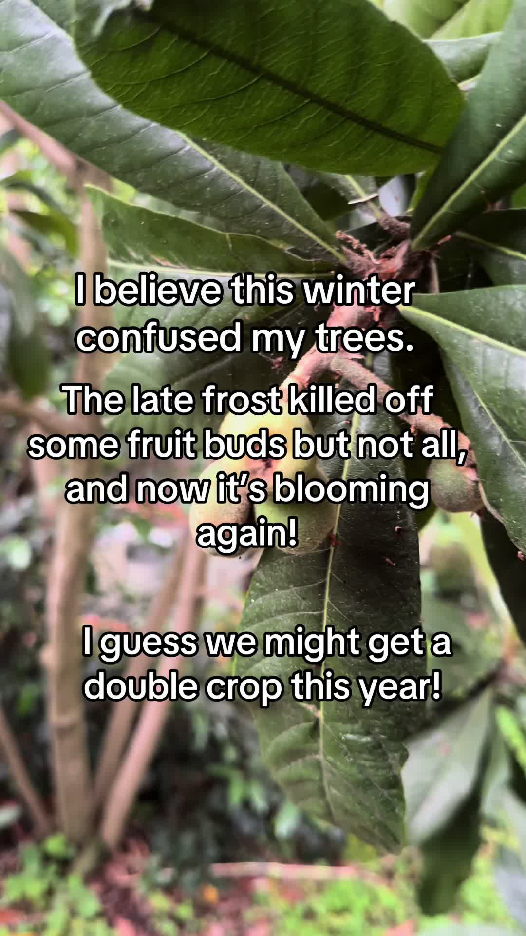 @Old_Stillmore_Homestead