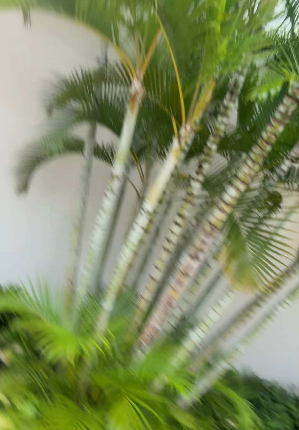 @✨