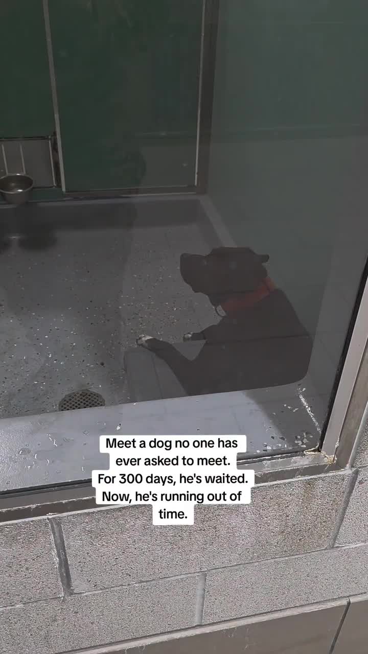 @mistermnn