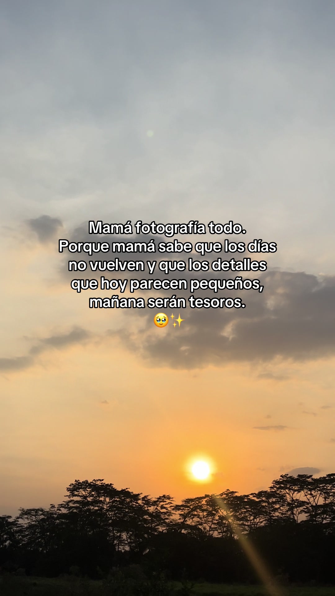 @𝑪 𝑨 𝑹 𝑶 𝑳