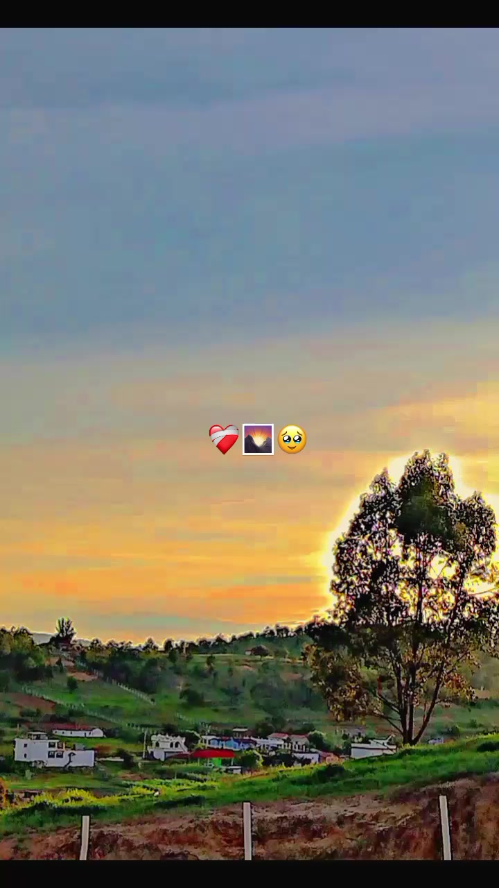@💙𝒟𝒶𝓃𝒾𝓁ℴ.🌃😻