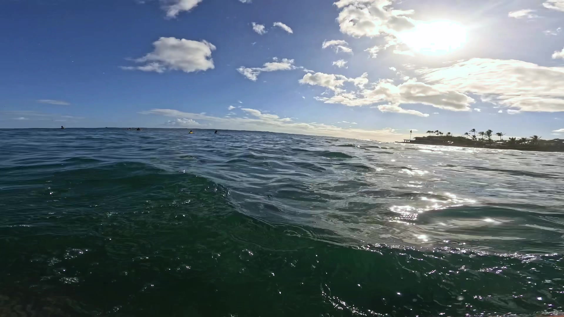 @🦈🦈🦈🌊🌊🌊