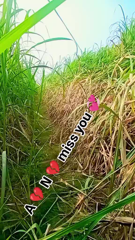 @Miss 💔🌹 you 🌹💔 🌹 jan