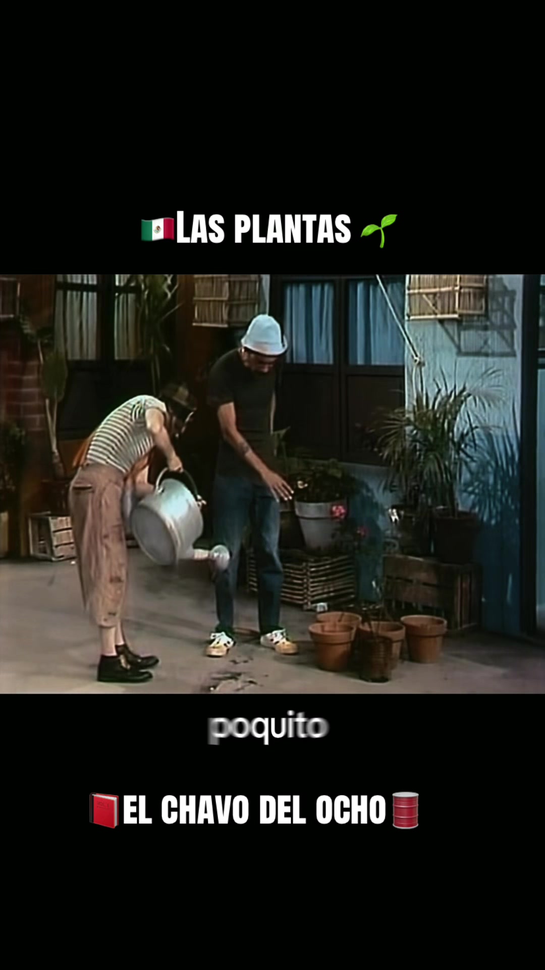 @El chavo del 8❤️